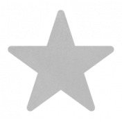 Christmas Day_Sticker Star 1 Gray