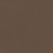 Christmas Day- Paper Solid Brown Dark