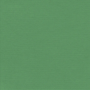 Christmas Day- Paper Solid Green Soft