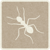 Picnic Day_Pictogram Chip_Brown Light_Ant