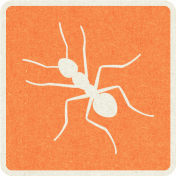 Picnic Day_Pictogram Chip_Orange_Ant