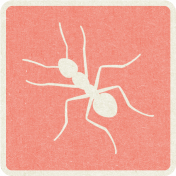 Picnic Day_Pictogram Chip_Pink_Ant