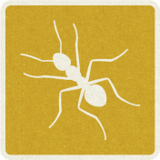 Picnic Day_Pictogram Chip_Yellow Dark_Ant