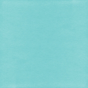 Summer Day- Paper Solid Teal