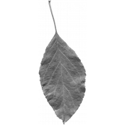 Leaves No. 2- Leaf Template 1