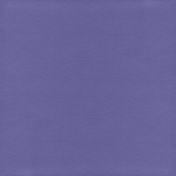 Sparkling Summer- Paper Solid Purple Dark