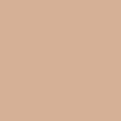 Sparkling Summer- Paper Solid Tan Dark- UnTextured