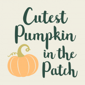 Pumpkin Spice- JC Cutest Pumpkin Light 4x4- UnTextured