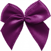 Thankful-Bow-Purple