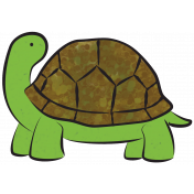 Tortoise 1