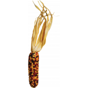 Maize 2