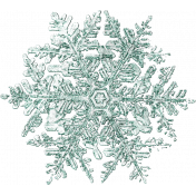 Snowflake 3