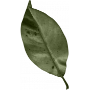 HTYD Leaf