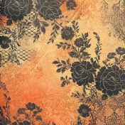 Paper Orange with Black Lace