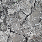 Cracked Dry Mud