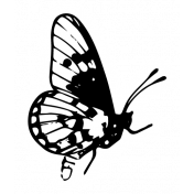 Shabby Vintage #3 Butterfly Sticker 11