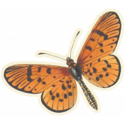 Shabby Vintage #3 Butterfly Ephemera 01