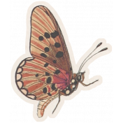 Shabby Vintage #3 Butterfly Ephemera 10