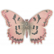 Collected Curiosities #3- Butterfly 02 Vellum