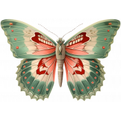 Collected Curiosities #4- Butterfly 01