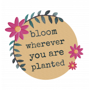 Bloom Wherever You Are Planted