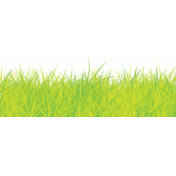 Easter 2017: Grass Border 01