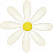 Back To School: Flower, Daisy