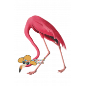 Fancy Flamingo