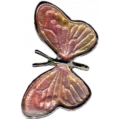 Peachy Keen Butterfly 3
