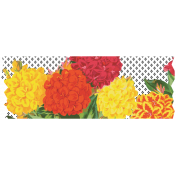 Seriously Floral Washi 049