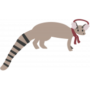 Ringtail Illustration