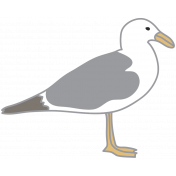 Coastal Print- Seagull- Bird