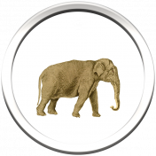 Kenya Elements tag 1 elphant