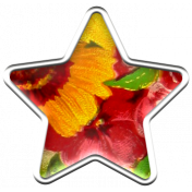 Granny Punk Elements- Enamel Star