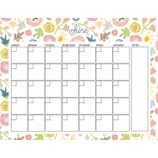 Oh The Places You'll Go Calendar- 8.5x11