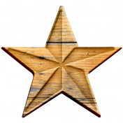 The Good Life- August 2019 Elements- Wood Star 1
