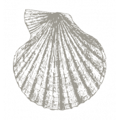 The Good Life- July 2020 Tags & Stickers- Print Sticker Seashell 3