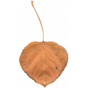 Thanksgiving Leaf- Orange