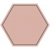 Good Life July 21_Tag Hexagon-Pink Gray