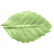 The Good Life: December 2021 Elements- Leaf 6