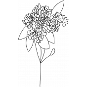 The Good Life: May 2022 Flower Doodle 1 Template