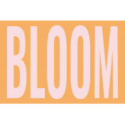 Good Life Apr 22_JC-Bloom 4x6
