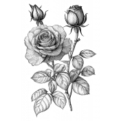 Rose Sticker 2