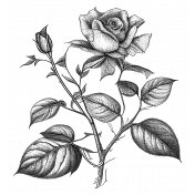 Rose Sticker 10
