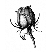 Rose Sticker 16