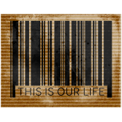 Formal Barcode