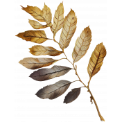 Formal Dried Leaves 2