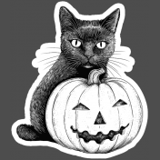 This Is Spooky Stickers: B&W Cat