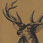 Hunter Paper 855- Deer Head