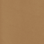 Tpl Kraft Paper Textured058b